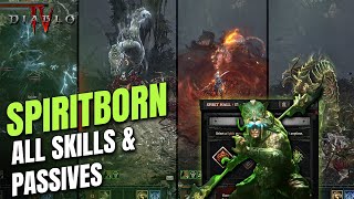 Spiritborn ALL SKILLS amp CLASS MECHANIC SHOWCASE  Diablo 4 Vessel of Hatred [upl. by Dnalra]