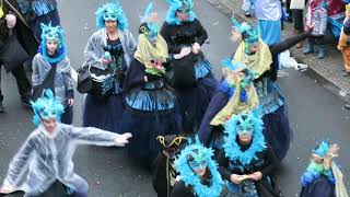 Karnevalszug Viersen Tulpensonntag 2019 Burgstraße Ausschnitte [upl. by Ailak]