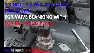 20HDI  20TDCI EGR valve and EGR valve blanking with blanking plate [upl. by Werby534]