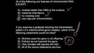 Mitochondrial dna inheritance [upl. by Assilev667]