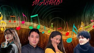 ladakhi new party mashup ladakhi spiti mashupsong [upl. by Iborian]