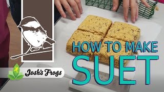 How to Make Suet A Fat and Calcium Rich Bird Food [upl. by Fahland186]