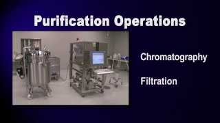 Purification Overview GFP Purification part 1 of 6 [upl. by Werdn]