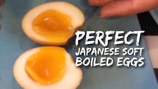 How to Make the Perfect Japanese Soft Boiled Eggs  Ramen Eggs in 2 simple steps [upl. by Einehpets]