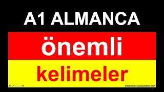 Sıfırdan A1 Almanca Ögreniyorum A1 Almanca Önemli Kelimeler [upl. by Lalaj442]