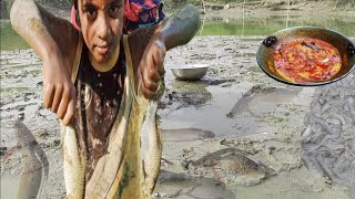 Local Fish Available  Village Vlog l बनाए नये मछलीया गची और पोठियाँ [upl. by Aneladgam]