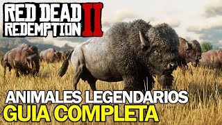 Red Dead Redemption 2  Localización cazando y despellejando un Bisonte Legendario Tatanka [upl. by Kreager]