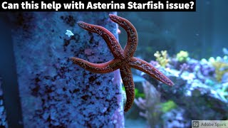 Can this help with Asterina Starfish issue [upl. by Rivi842]