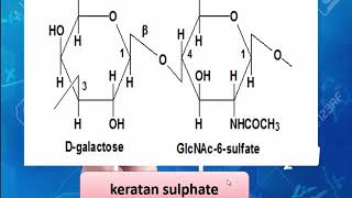 Mucopolysaccharides  Glycosaminoglycanes Structure et fonction des macromolécules [upl. by Sreip]