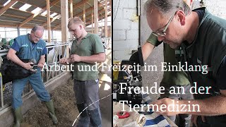 Stellenanzeige für den Großtierbereich Tierärztin  Tierarzt [upl. by Asena]