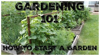 Gardening 101 How To Start A Garden [upl. by Goddart]