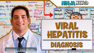 HIV Pathophysiology 23  HIV Life Cycle [upl. by Lachlan364]