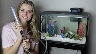 How to Clean Your Fish Tank [upl. by Chaffee]