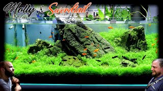 Making a 4ft Carpet Aquarium for Mollies and Swordtails [upl. by Aztin]