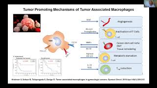 Targeting Tumor Associated Macrophages in Ovarian Cancer [upl. by Gamal]