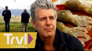 Anthony’s FAVORITE Episodes of All Time  Anthony Bourdain No Reservations  Travel Channel [upl. by Ecirtal]