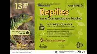 WEBINARIO Reptiles de la Comunidad de Madrid [upl. by Adnov210]