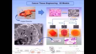 Dr Lauren Wood Sustained Release InterferonGamma M1 tumorassociated macrophages [upl. by Humfrid]