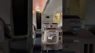 Business Class  Aerolineas Argentina A330 [upl. by Retswerb]