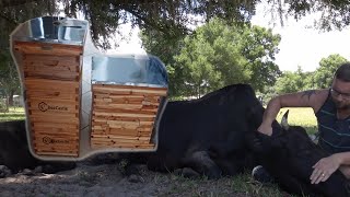 Building Beehives after a Busy Spring on the Homestead [upl. by Lindsay]