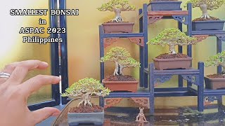 SMALLEST BONSAI IN THE WORLD Bonsai Exhibition  Philippines 2023 ASPAC ABFF  Mindanao Leg [upl. by Martinez]