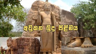 අවුකන බුද්ධ ප්‍රතිමාව  Avukana Buddha statue  අවුකන බුදු පිළිමය [upl. by Nauhs]