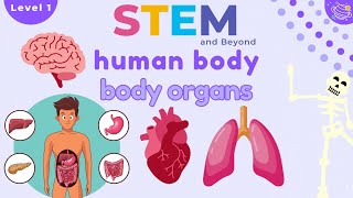 Human Body Organs  Science For Kids  STEM Home Learning [upl. by Thorin]