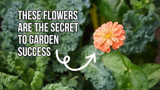 11 Best Flowers to Grow in a Vegetable Garden [upl. by Aizatsana]