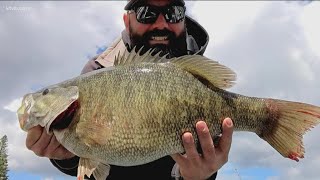 Lewiston man breaks Idaho record with 235inch smallmouth bass [upl. by Alamap]