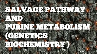 SALVAGE PATHWAY AND PURINE METABOLISM GENETICS BIOCHEMISTRY [upl. by Haslam]