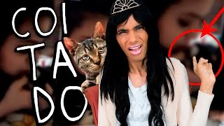 Como aplicar injeção subcutânea em gatos [upl. by Izzy]