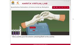 Quantitative estimation of amino acids by ninhydrin part 2 [upl. by Horacio414]