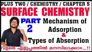 Mechanism Of Adsorption  Types Of Adsorption 2 Chemistry Chapter 5 Surface Chemistry in malayalam [upl. by Sucul]