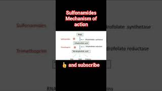 sulfonamides mechanism of actionpharmacology physiology [upl. by Kindig252]