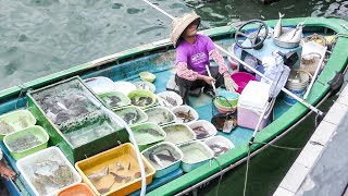 Live Fish Market on Boats Sai Kung Hong Kong [upl. by Aidnac]