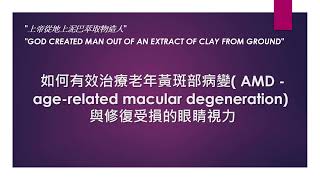 如何有效治療老年黃斑部病變  AMD  agerelated macular degeneration 與修復受損的眼睛視力 [upl. by Ydnak]