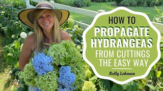 How To Propagate Hydrangeas From Cuttings the Easy Way [upl. by Nailliw]