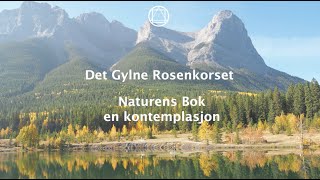 Kontemplasjon  Naturens Bok Stillhet og Forvandling [upl. by Natalya]