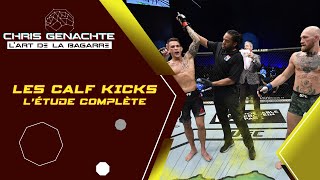 LES CALF KICKS EN MMA  Létude complète [upl. by Giraldo]