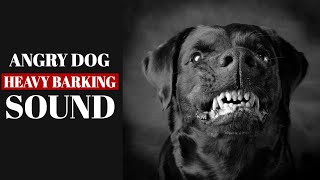 Aggressive dog barking  Angry loud dog barking 1 hour [upl. by Tav23]