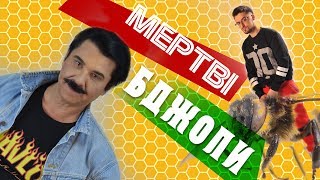 Павло Зібров feat Julik  Мертві бджоли Lyric video [upl. by Ahsenauq]