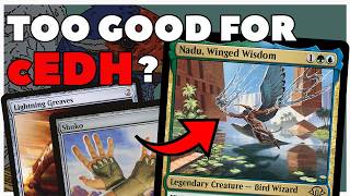 Nadu Winged Wisdom 🛠 Bringing MODERN and CEDHs BEST NEW DECK to BUDGET COMMANDER edh [upl. by Rdnaskela]