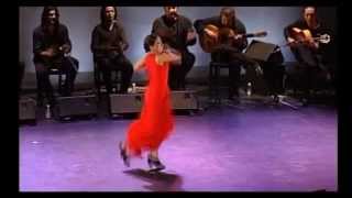 El baile flamenco [upl. by Runkle]