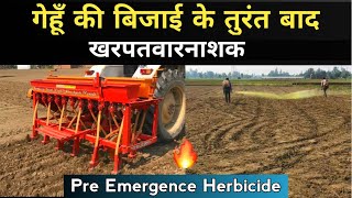 गेहूं की बिजाई के तुरंत बाद Pendimethalin 30 की सही मात्रा  Pendimethalin 30 EC  Wheat Farming [upl. by Ennahs]