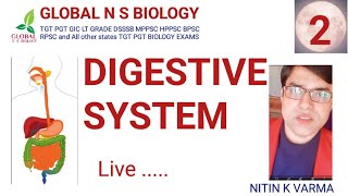 Digestive system Lecture 2 [upl. by Noonberg]