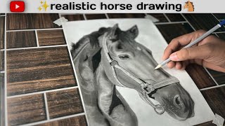 How To Draw Realistic horse 🐎 Horse portrait drawing  easy drawing 🤗 [upl. by Niboc]