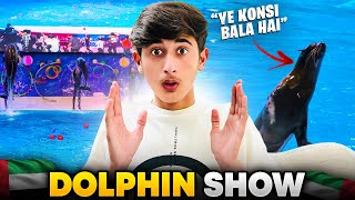 Dolphin Show In Uae 🇦🇪  Maza Agya😍 [upl. by Adigun]