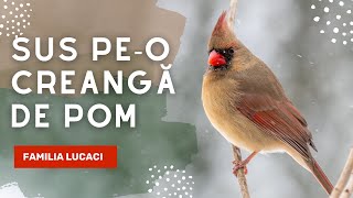 Sus peo creangă de pom  Familia Lucaci Official Video [upl. by Surat424]