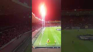 Wolverhampton wanderers light show at molineux [upl. by Acimak]