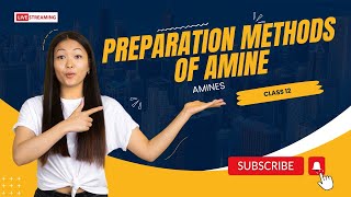 PREPARATION OF AMINE  CLASS 12  AMINES [upl. by Heron]